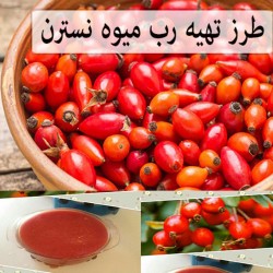 رب میوه نسترن